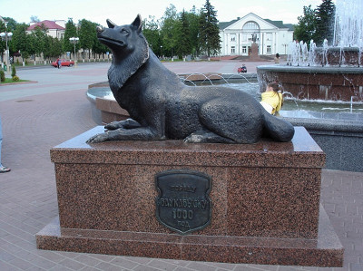 волк на площади