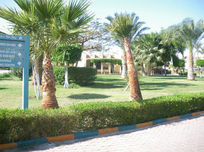 Golden Five Paradise