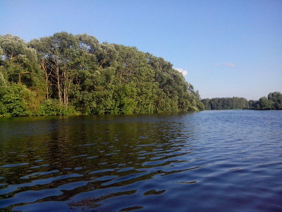 Ждановичи