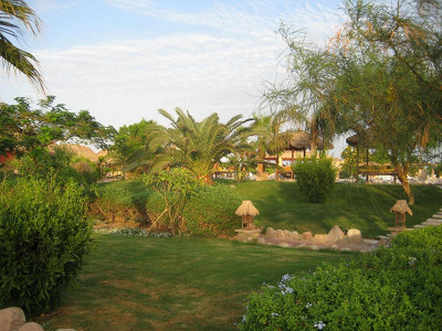 Laguna Vista