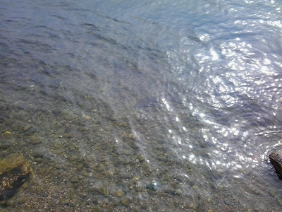 Прозрачная вода Байкала