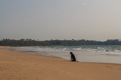 paradise beach в Махараштре