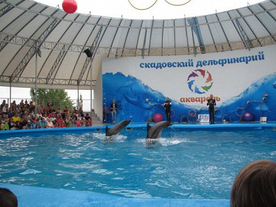 дельфинарий