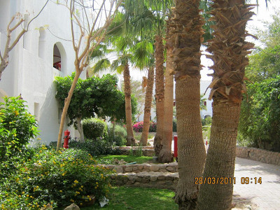 Domina Hotel & Resort Harem