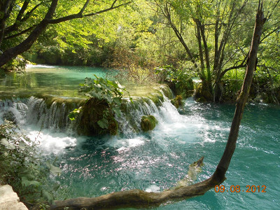 Лазурные и яркозеленые цвета воды и зелени