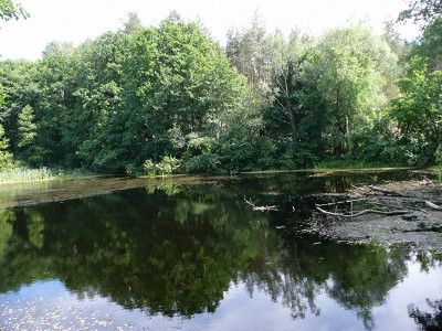 заповедник