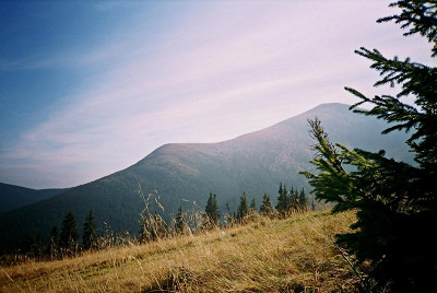 Говерла