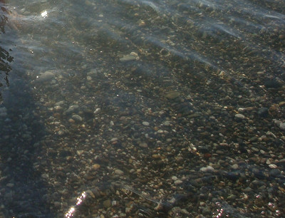 Галька и прозрачная вода на пляже Адлера