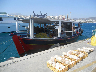 Море, корабли
