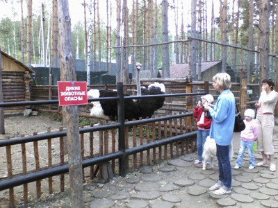 В зоопарке Абзаково 