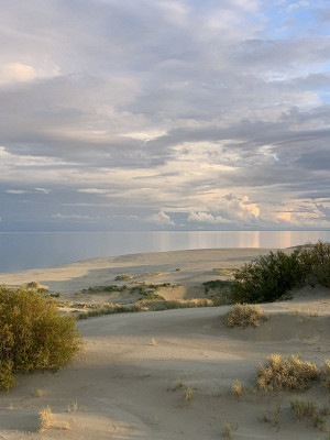 Пляж Зеленоградска (Zelenogradsk beach)