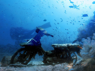 Дайвинг. Подводные экскурсии с Andaman Diving&Travel Company «Дыши со мной!»