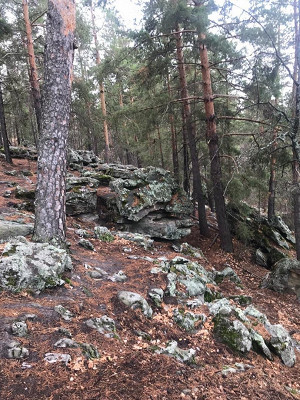Экскурсия в Троицкие Альпы