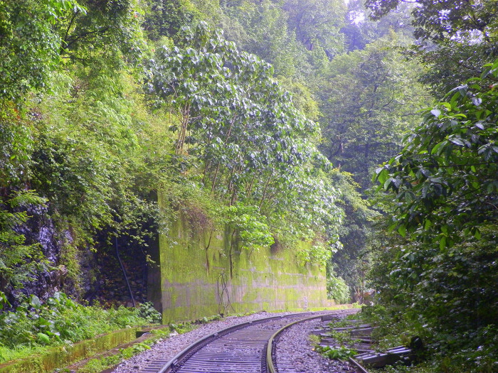 Железная дорога к водопаду Дудхсагар, Индия