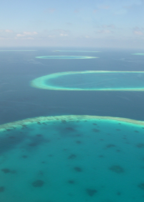Атоллы, Мальдивские острова