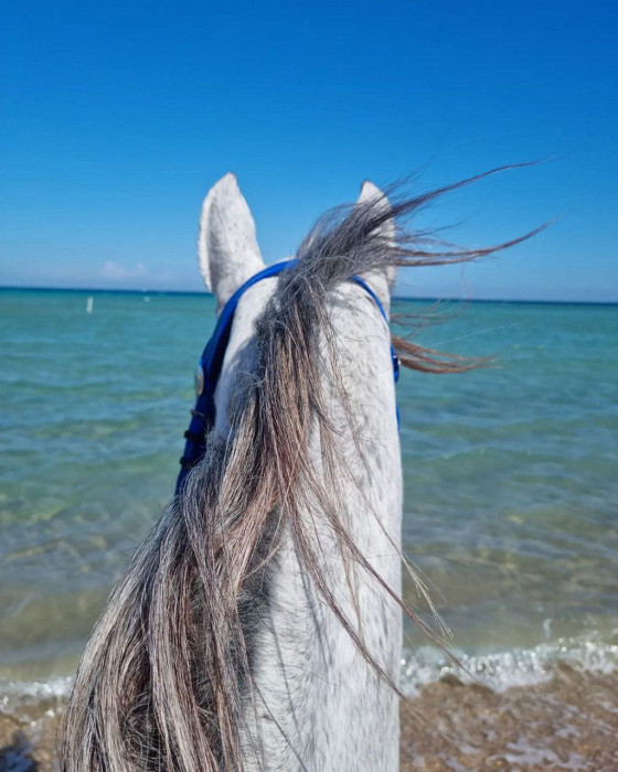 Отзыв о Египте за 50 тысяч на двоих4