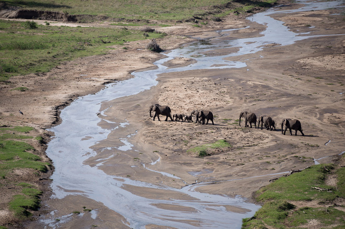 Национальный парк Тарангире, слоны на водопое
