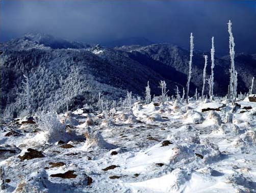 Заснеженные горы Чирисан в Южной Корее