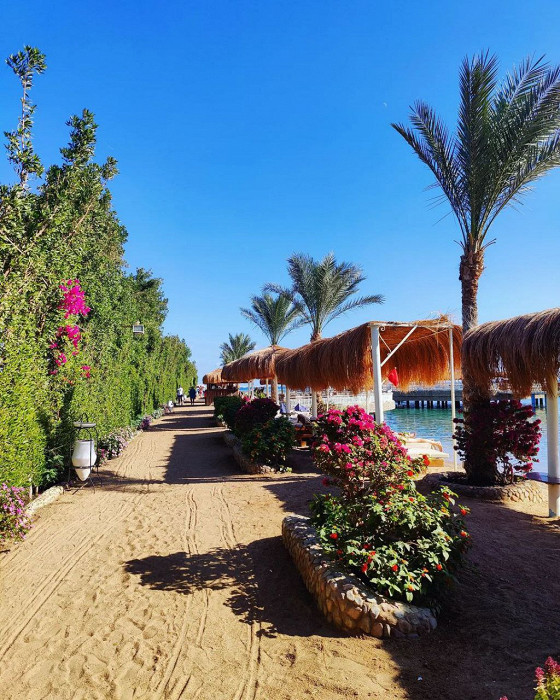 Отзыв о бюджетном отеле Sunrise Aqua Joy Resort в Хургаде3