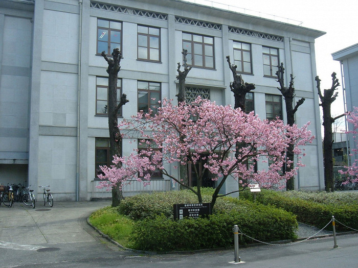 Институт теоретической физики в Университете Киото