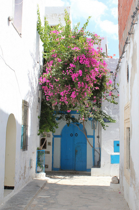 2s48s0zkc06c4o4oc4sw8g4sk Медина тунис что это