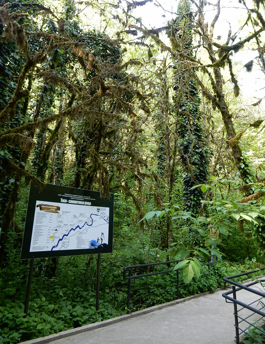 Вход в национальный парк Тисо-самшитовая роща