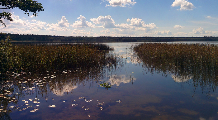 Что сегодня поделать в твери. Смотреть фото Что сегодня поделать в твери. Смотреть картинку Что сегодня поделать в твери. Картинка про Что сегодня поделать в твери. Фото Что сегодня поделать в твери