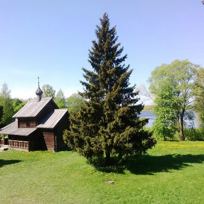Новгородский музей деревянного зодчества