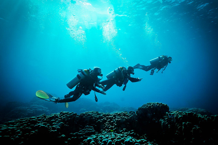Группа дайверов под водой в Дахабе