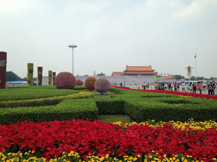 Цветы на площади Тяньаньмэнь
