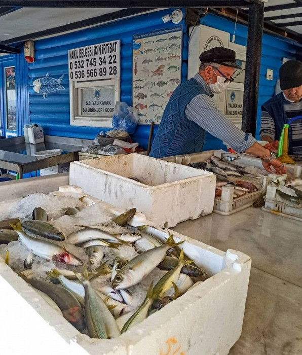 Свежая рыба на рынке Бодрума