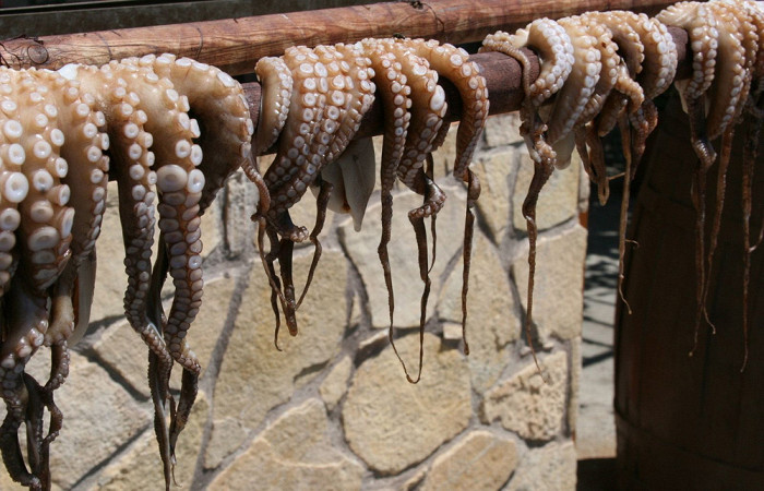 Подсушивание осьминогов на Кипре