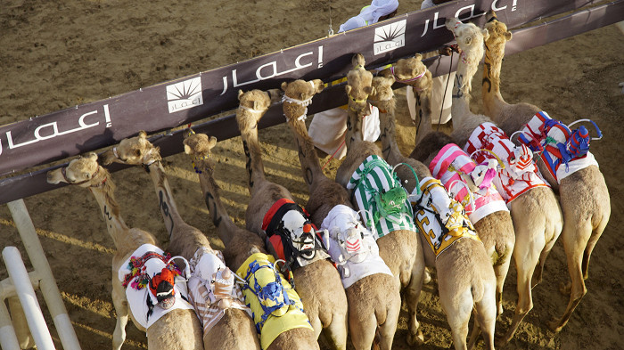 Роботы на верблюдах, полиция на Бентли и еще 7 удивительных фактов о Дубае3