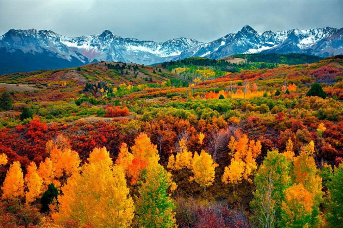 Осень в Колорадо