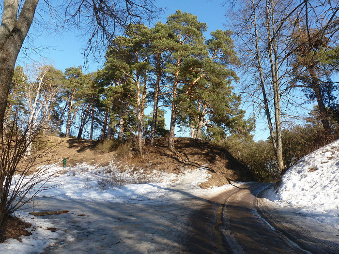 Звенигородское шоссе фото