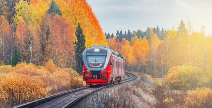 Поезд в лесу, Россия