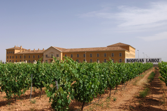 Виноградники у винного завода в Кастилии — Ла-Манча
