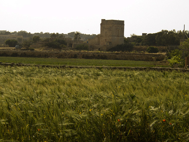 Башня Таль-Буттар, Марсаскала, Мальта