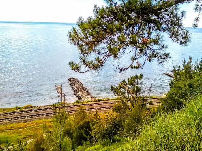 Железная дорога у линии моря в Шепси