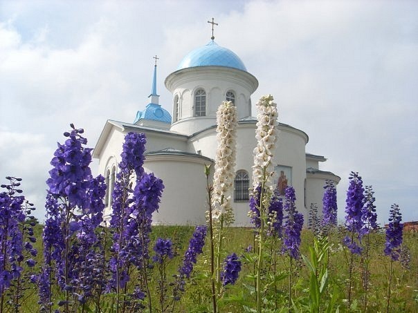 Покрово-Тервенический женский монастырь, Алёховщина, Ленинградская область
