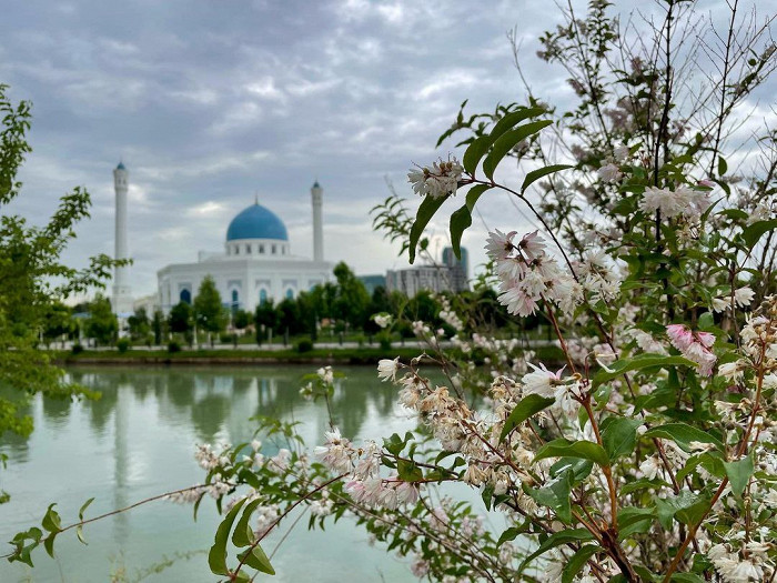 Легко ли переехать жить в Ташкент1