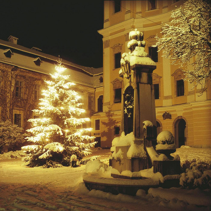 Рождественская елка, Монд-Зее, Зальцкаммергут, Зальцбург, Австрия