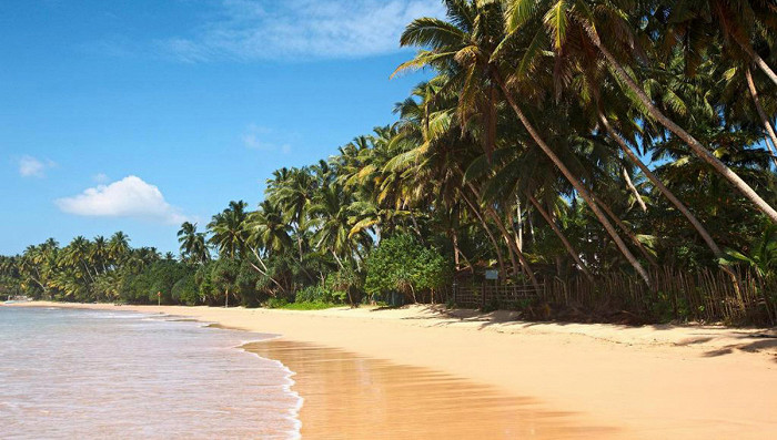 Идиллический тропический рай, Шри Ланка