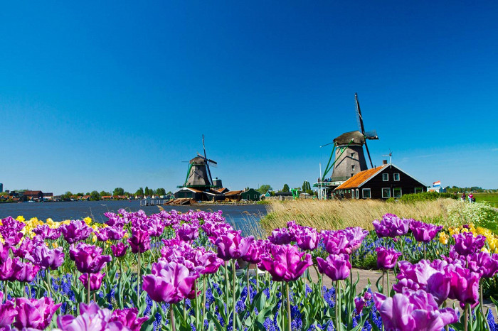 Волшебный пейзаж, Нидерланды