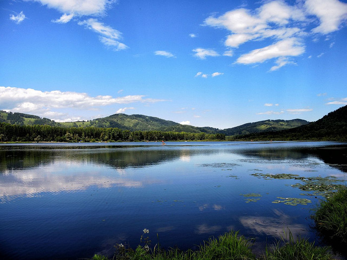 Фото lake герань