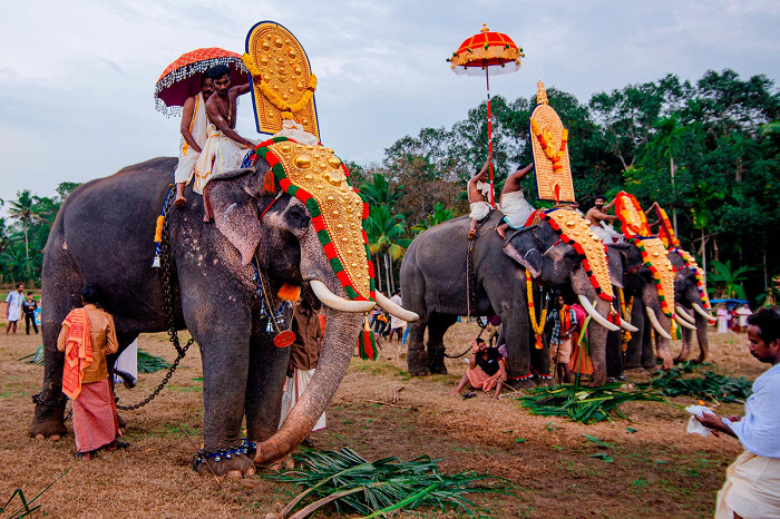 Храмовый фестиваль в Керале