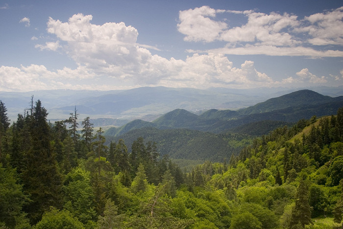 Национальный парк Боржоми-Харагаули, Грузия