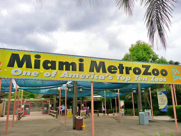 Зоопарк Майами, вход