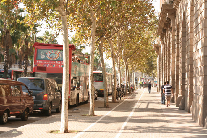 Двухэтажные туристические автобусы Барселоны