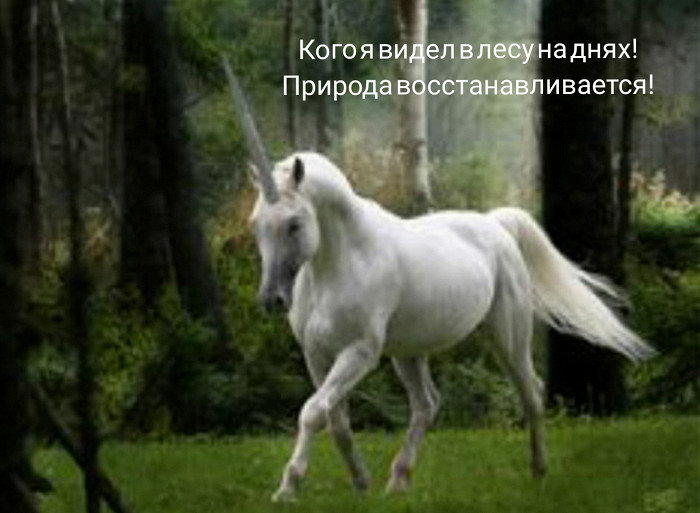 Мы и есть вирус K